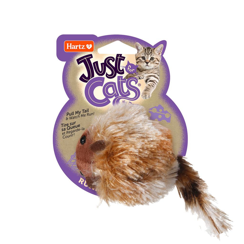 03270010423_just_for_cats_running bb