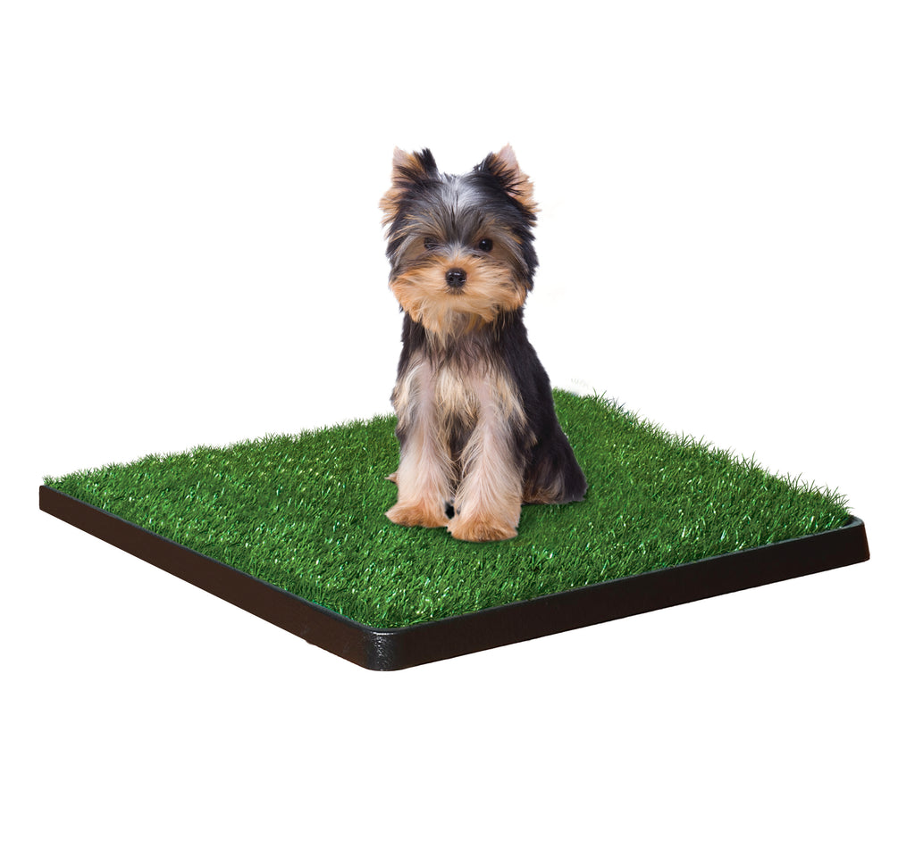 045663158200_FourPawsWee-WeePatch20inx20in6ea_FourPaws