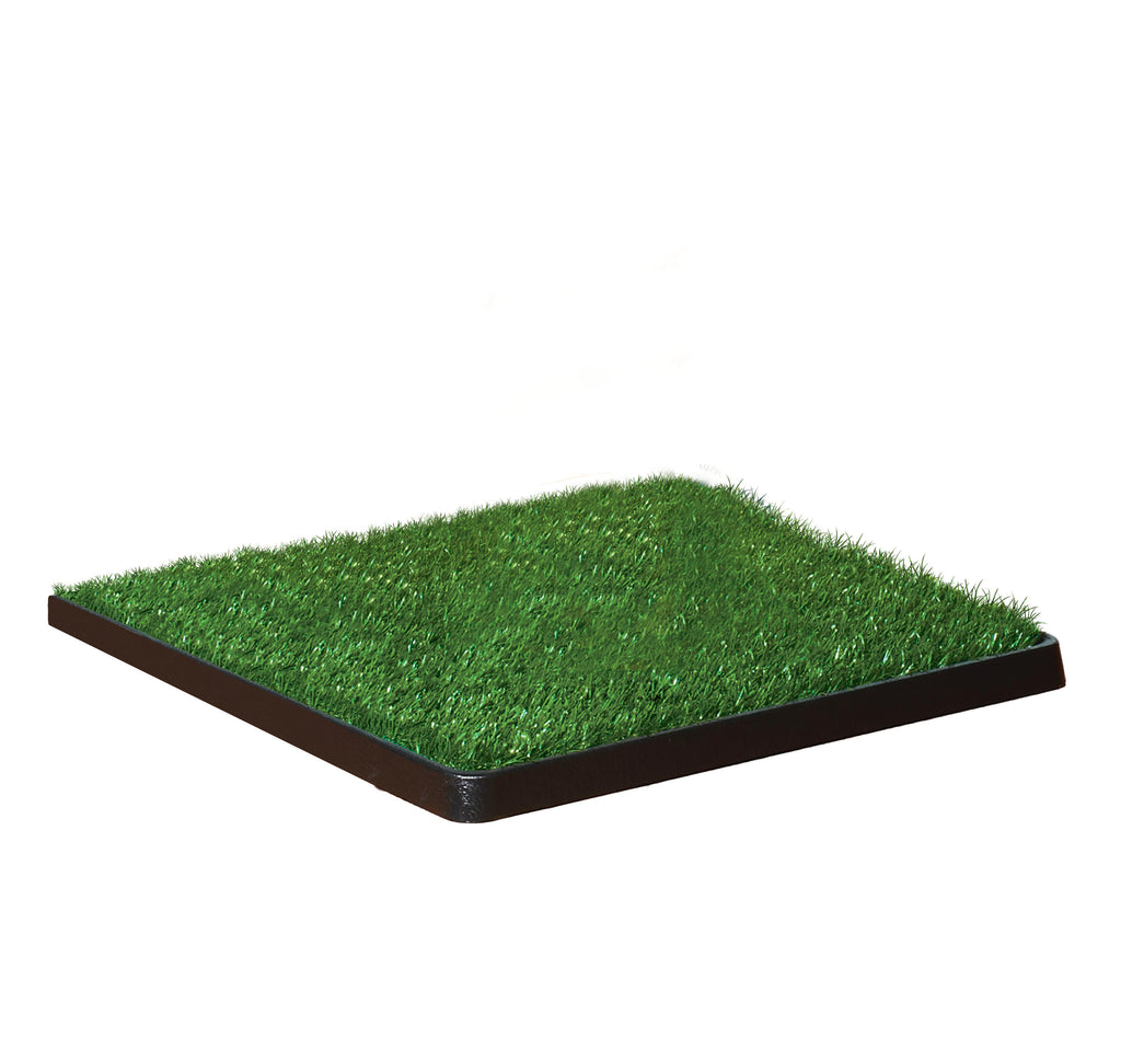 045663158200_FourPawsWee-WeePatch20inx20in6ea_FourPaws_Iive