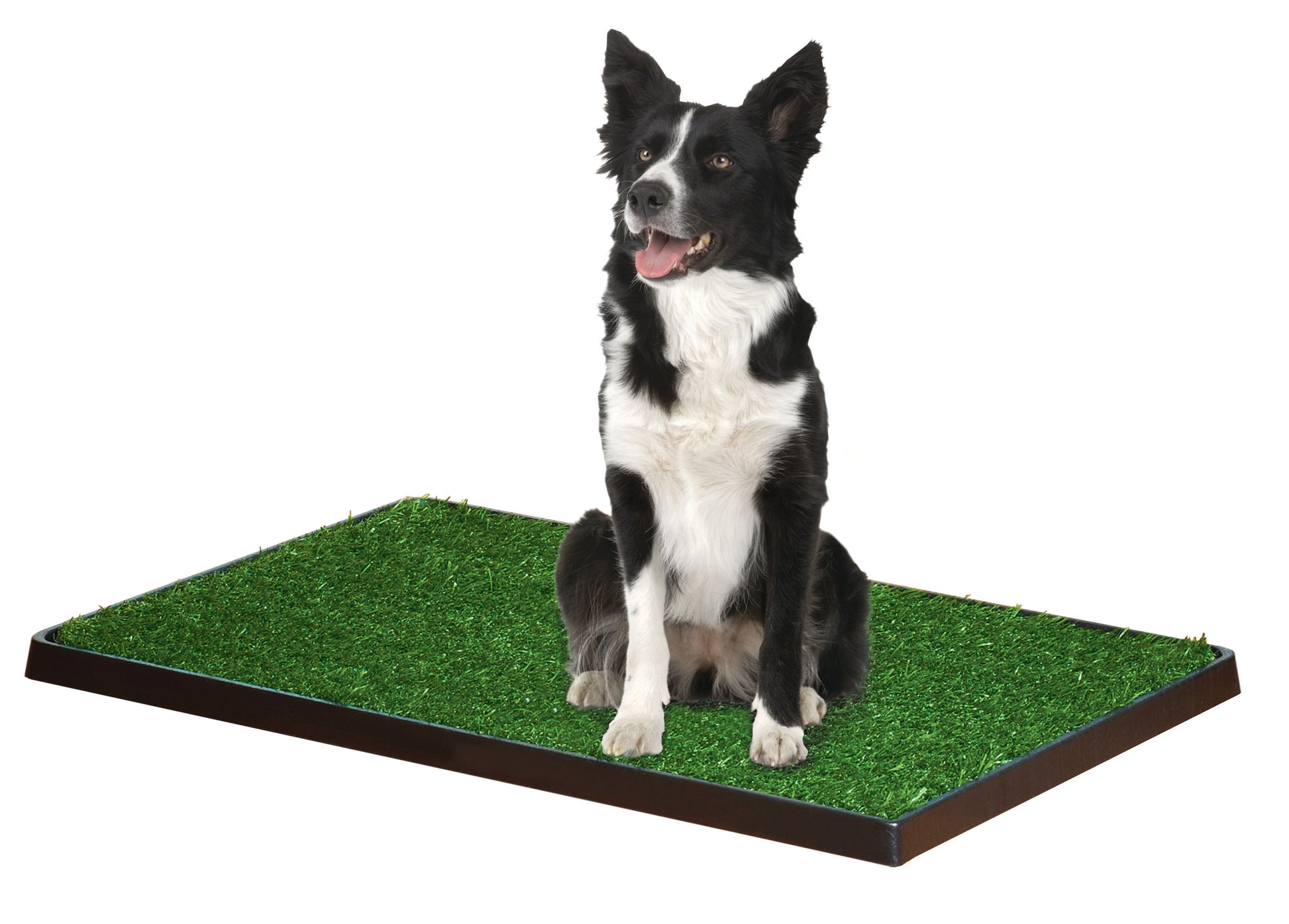045663158309_FourPawsWee-WeePatch30inx20in3ea_FourPaws_dog