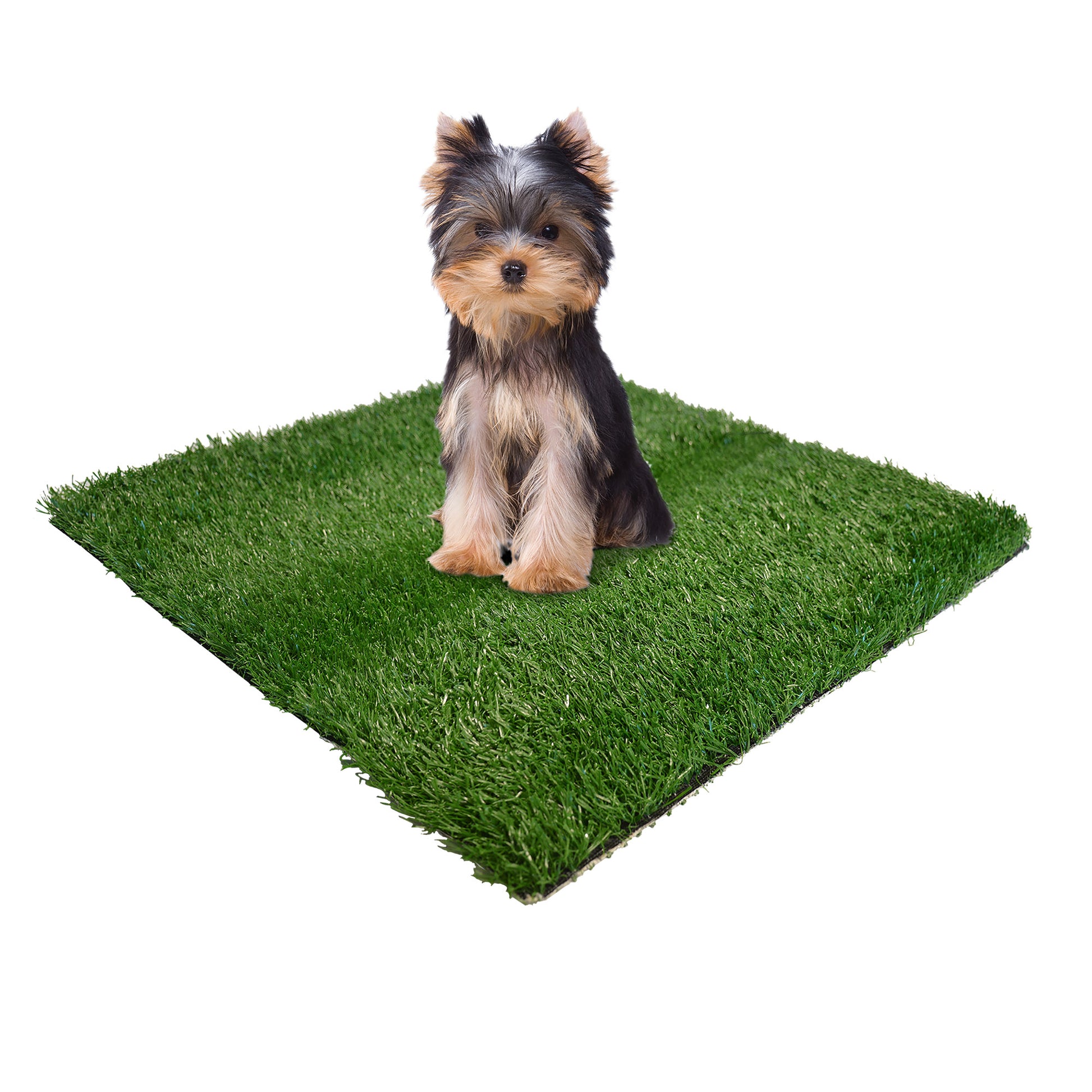 ePatchReplacementGrass19inx19in12ea_FourPaws_Dog