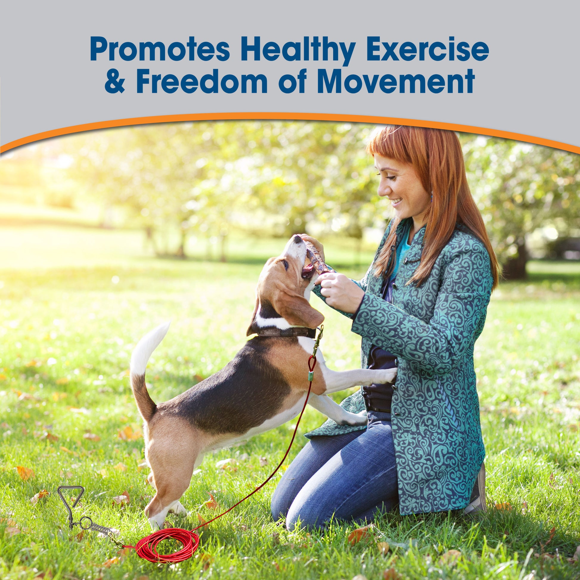 045663856304_FourPaws_MediumWeightDogTieOutCableRed30ft_Lifestyle