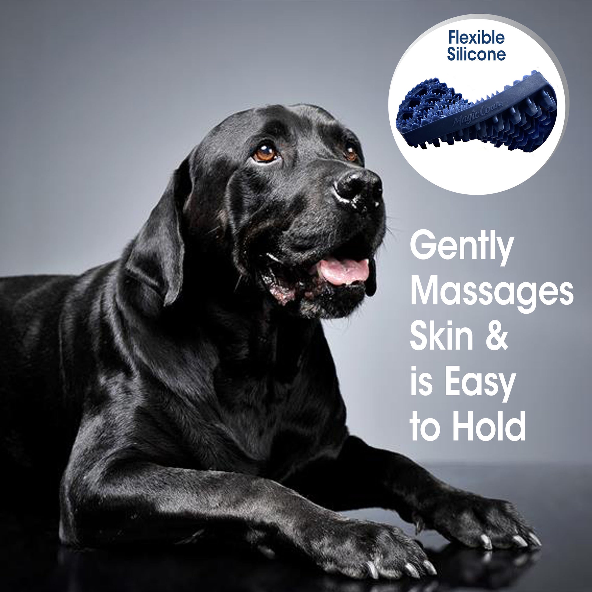 045663973117_FourPaws_ProfessionalSeriesCurryBrush_Lifestyle