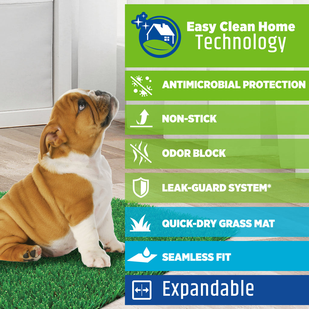 045663974787_FourPaws_Wee-WeePremiumPatchPetPotty_InformationalImage
