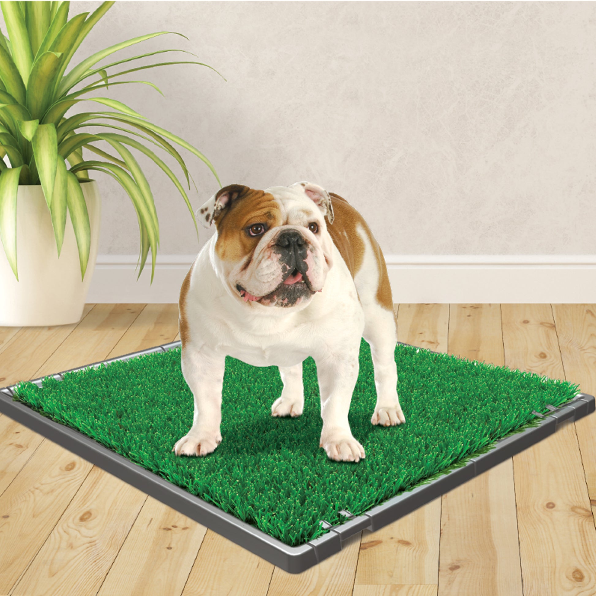 045663974800_FourPaws_Wee-WeePremiumPatchGrassMat_Lifestyle