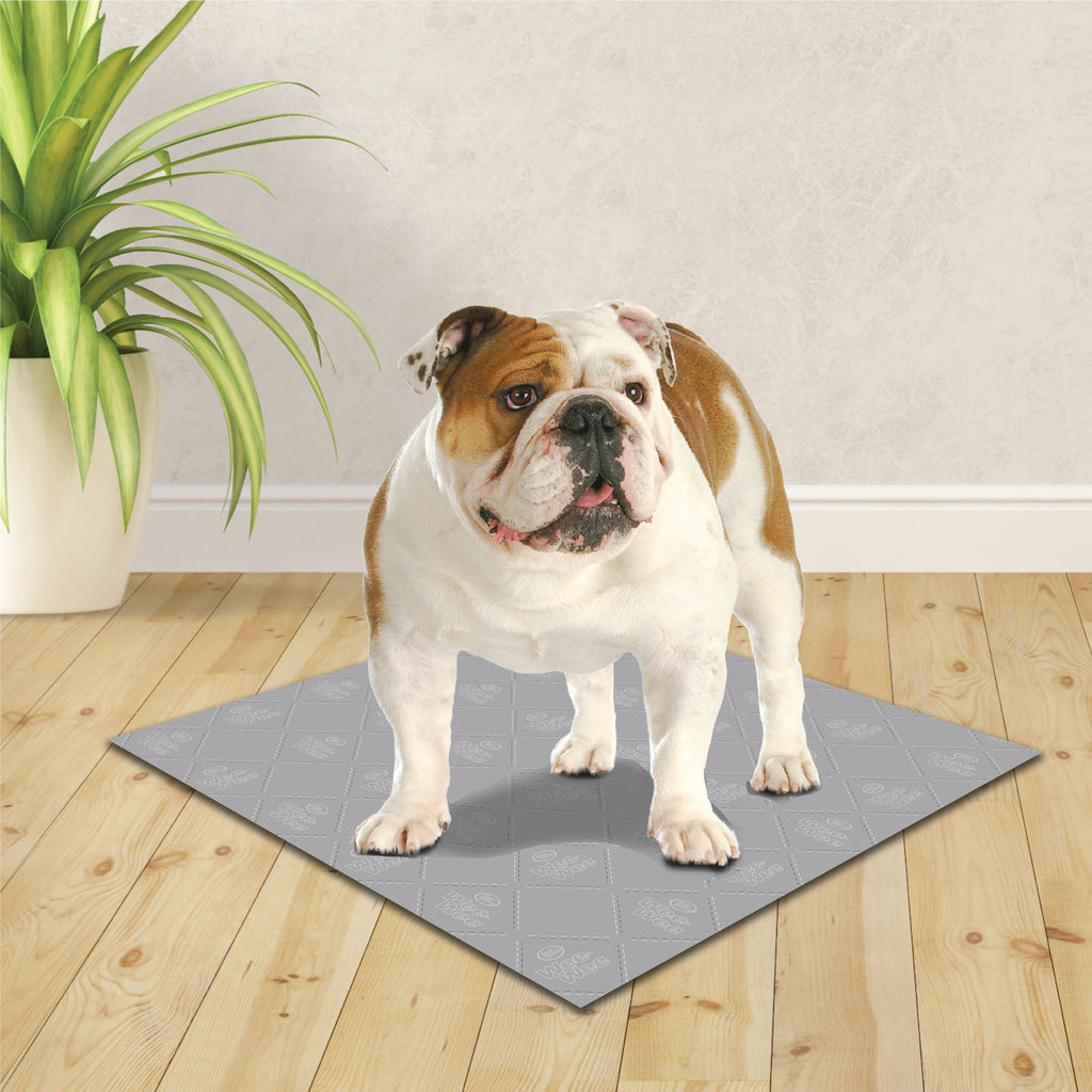 045663974831_FourPaws_Wee-WeePremiumPatchWashablePad_Lifestyle