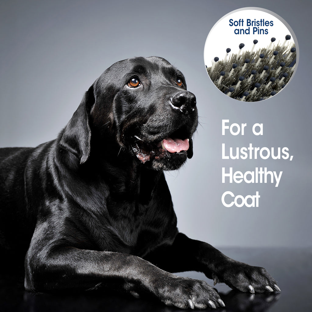 045663975548_FourPaws_MagicCoatProfessionalSeriesFlexiHeadBristleBrush_Lifestyle