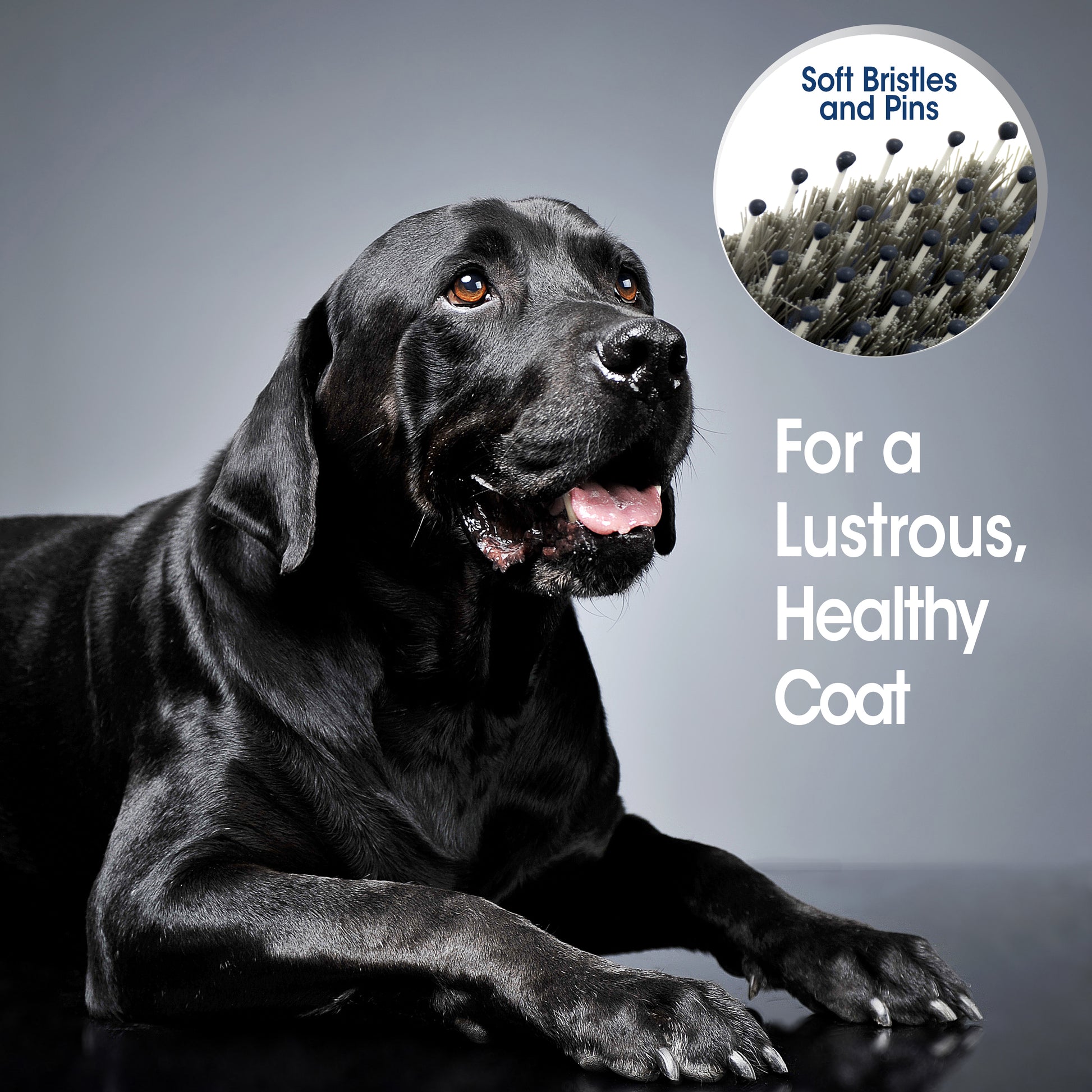045663975548_FourPaws_MagicCoatProfessionalSeriesFlexiHeadBristleBrush_Lifestyle