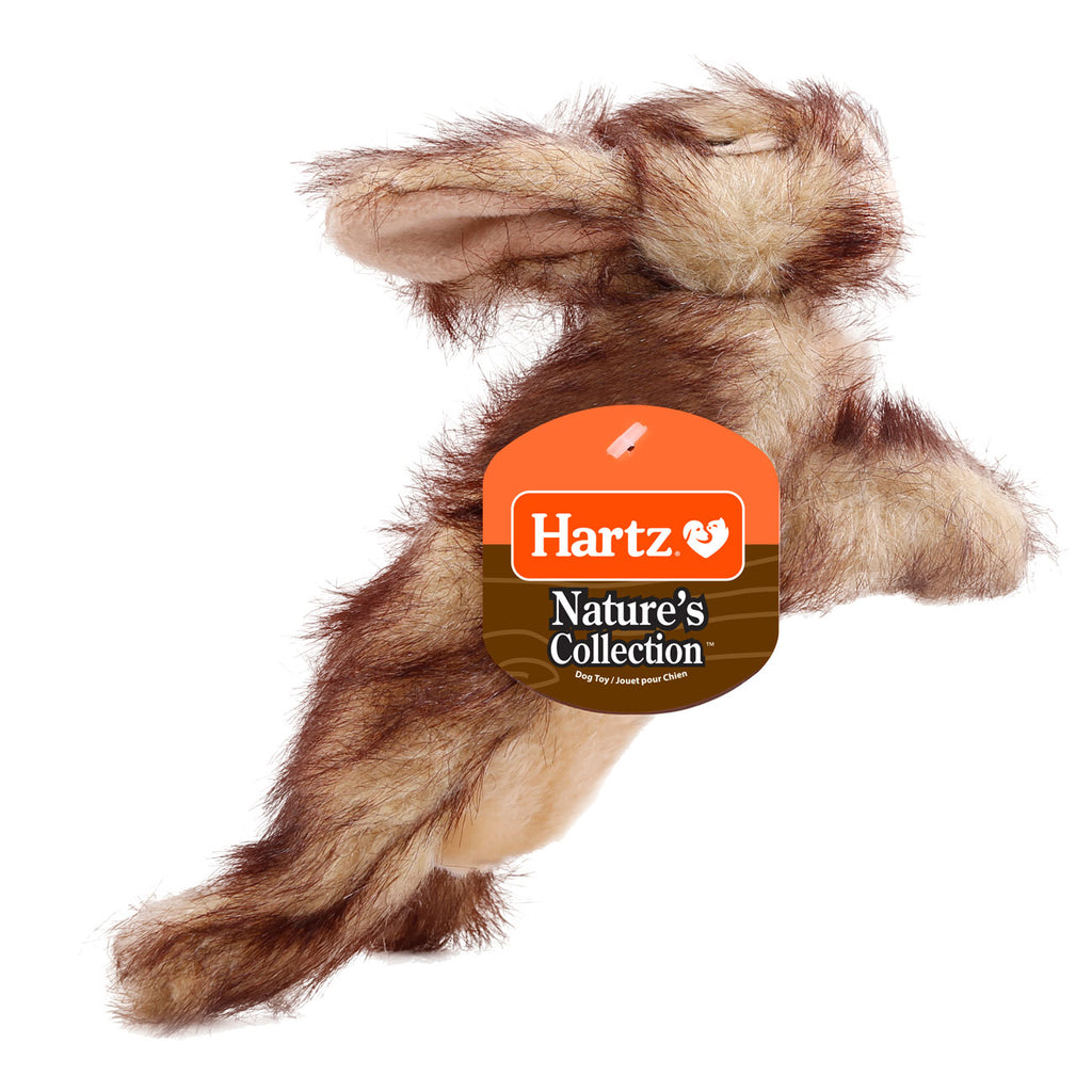 3270004349_natures_collection_rabbit