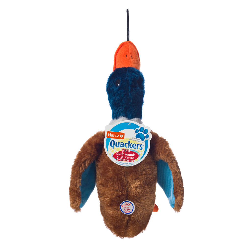 3270005445_quackers_dog_toy_blue