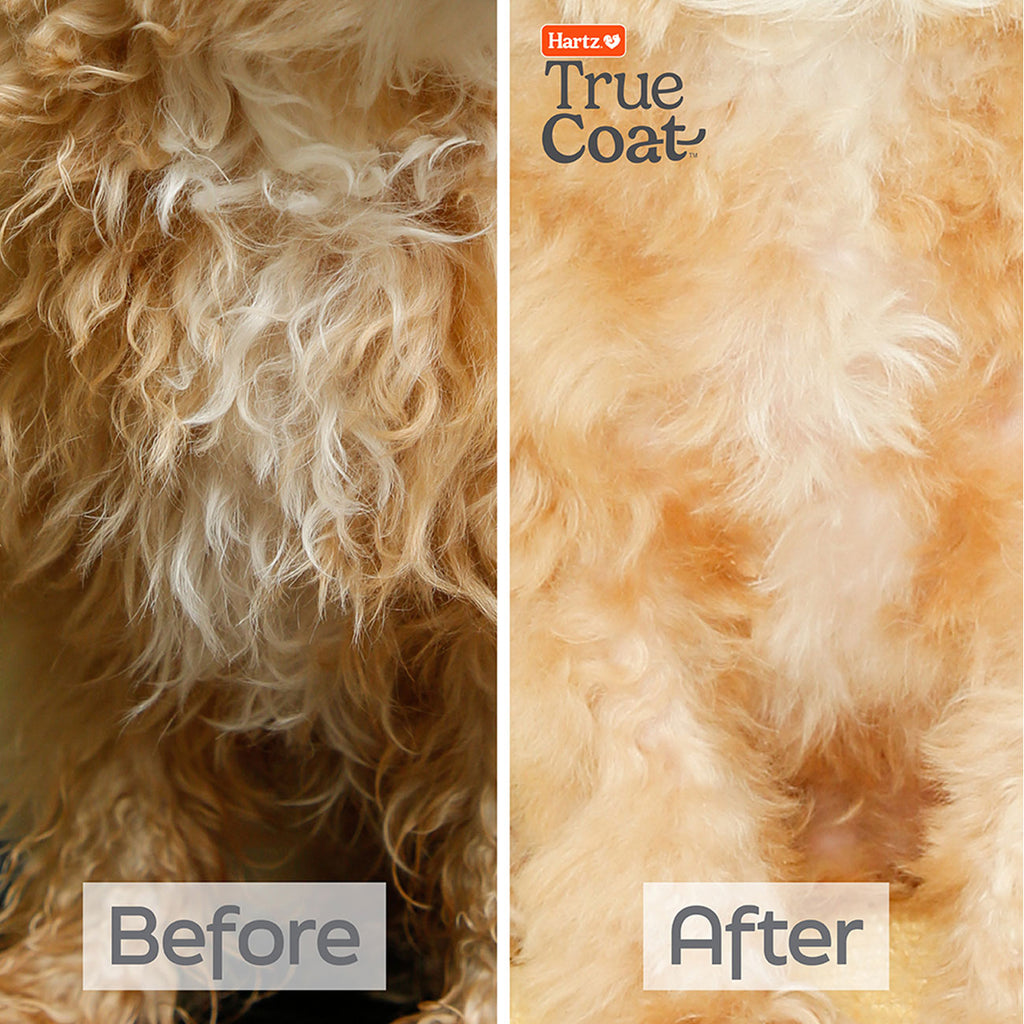 46-hartz-true-coat-curly-wavy-detangle-antes y fespues