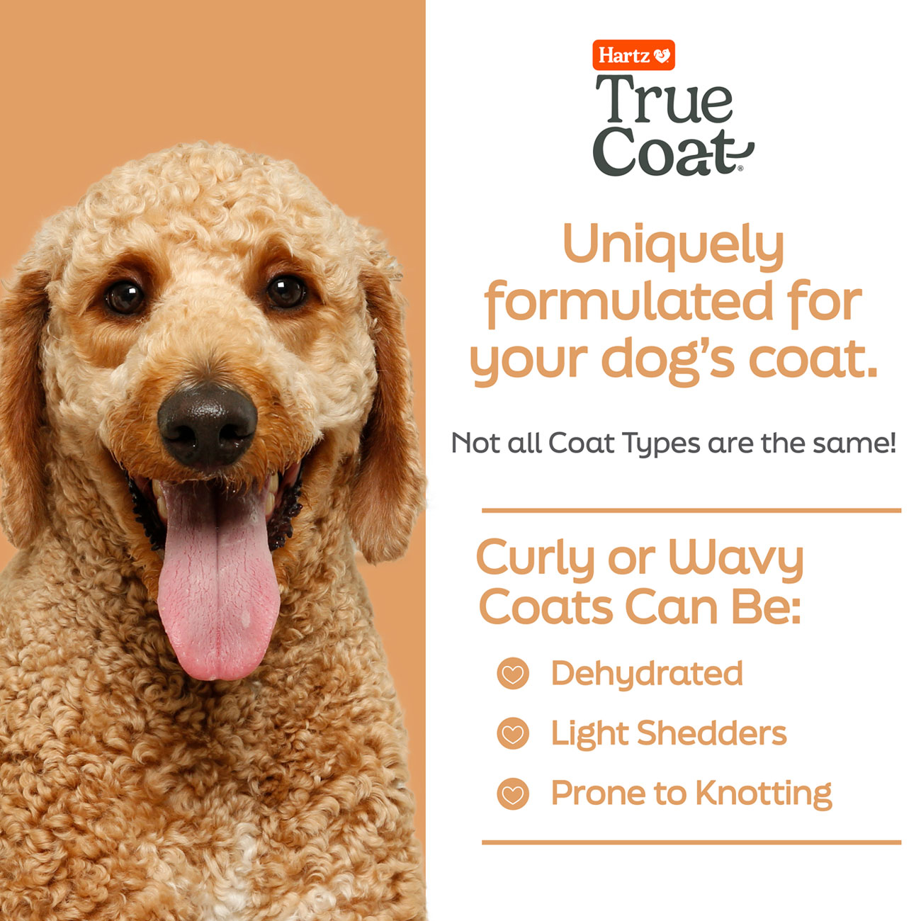 hartz-true-coat-curly-wavy-detangle-coat types