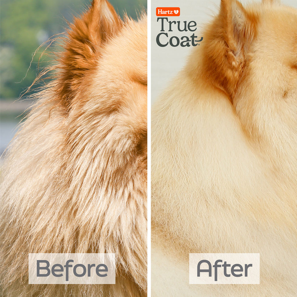 hartz-true-coat-thick-coat before after 