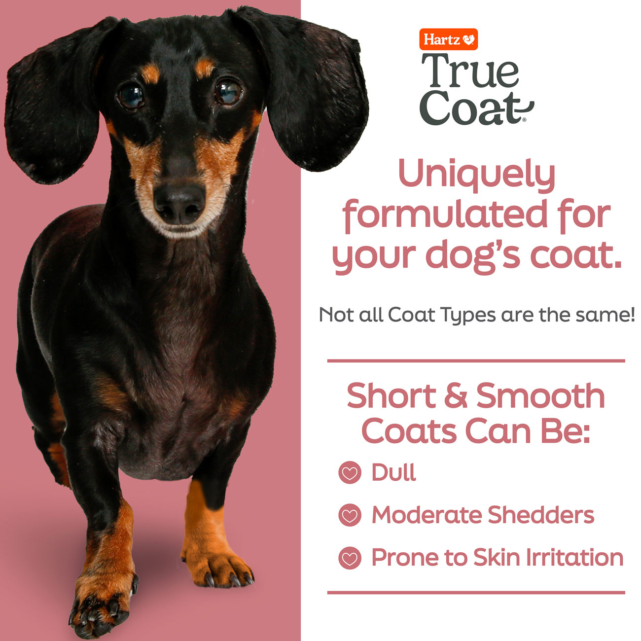 Hartz-True-Coat-Short-Smooth type coat