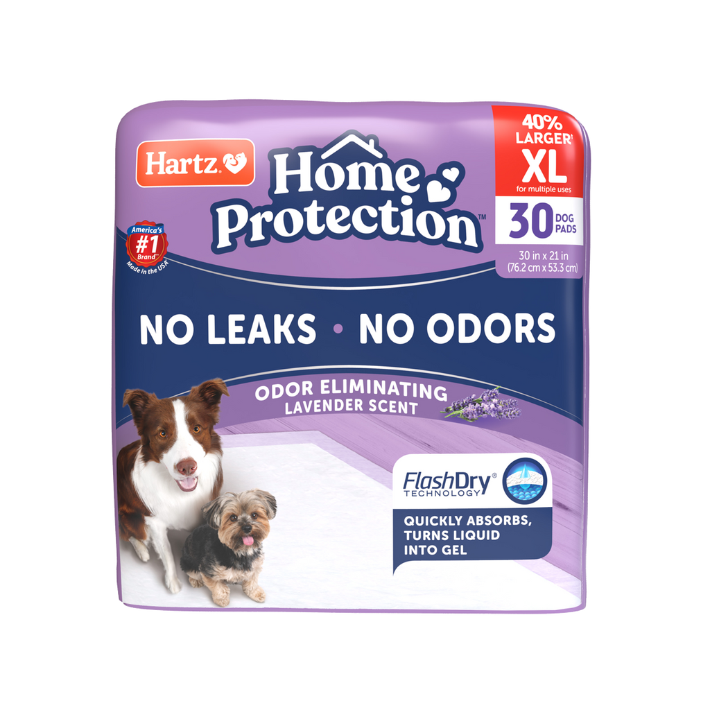 3270014839_HPOE_Lavender_XL_30ct_