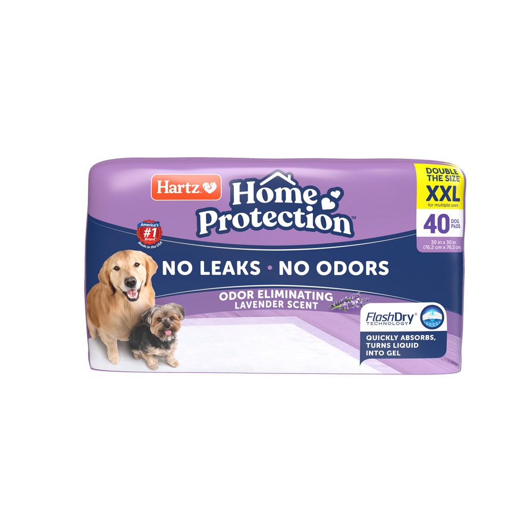 3270015480_HPOE_Lavender_XXL_40ct_front_1300x1300_12c3f52b-6841-4fd6-8391-949e334ac18a