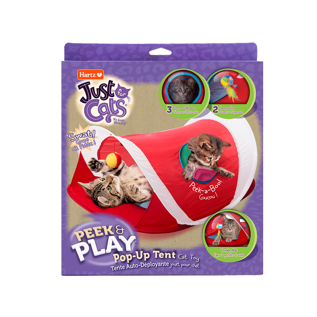 3270015583_just_for_cats_peek_play_front_