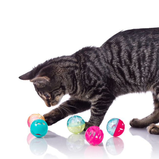 3270082183_hartz_just_for_cats_bizzy_balls_cat_toy_back