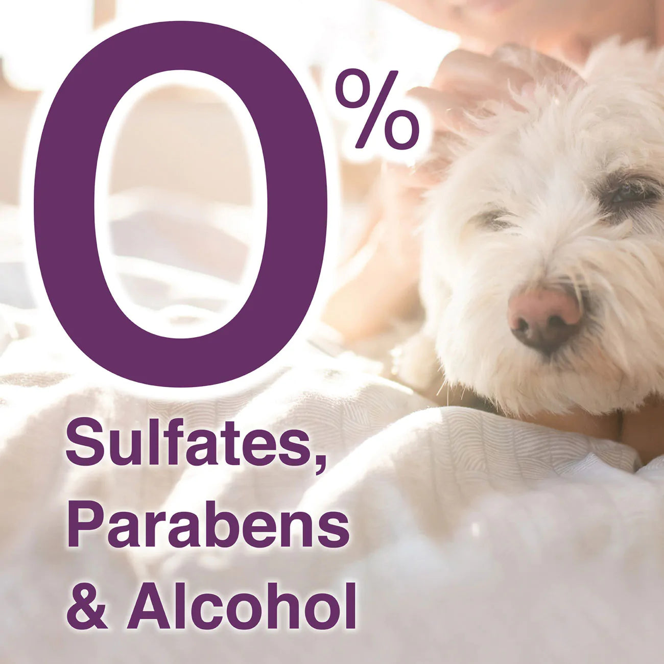 hartz_groomers_best_soothing_oatmeal_shampoo_for_dogs_sulfates
