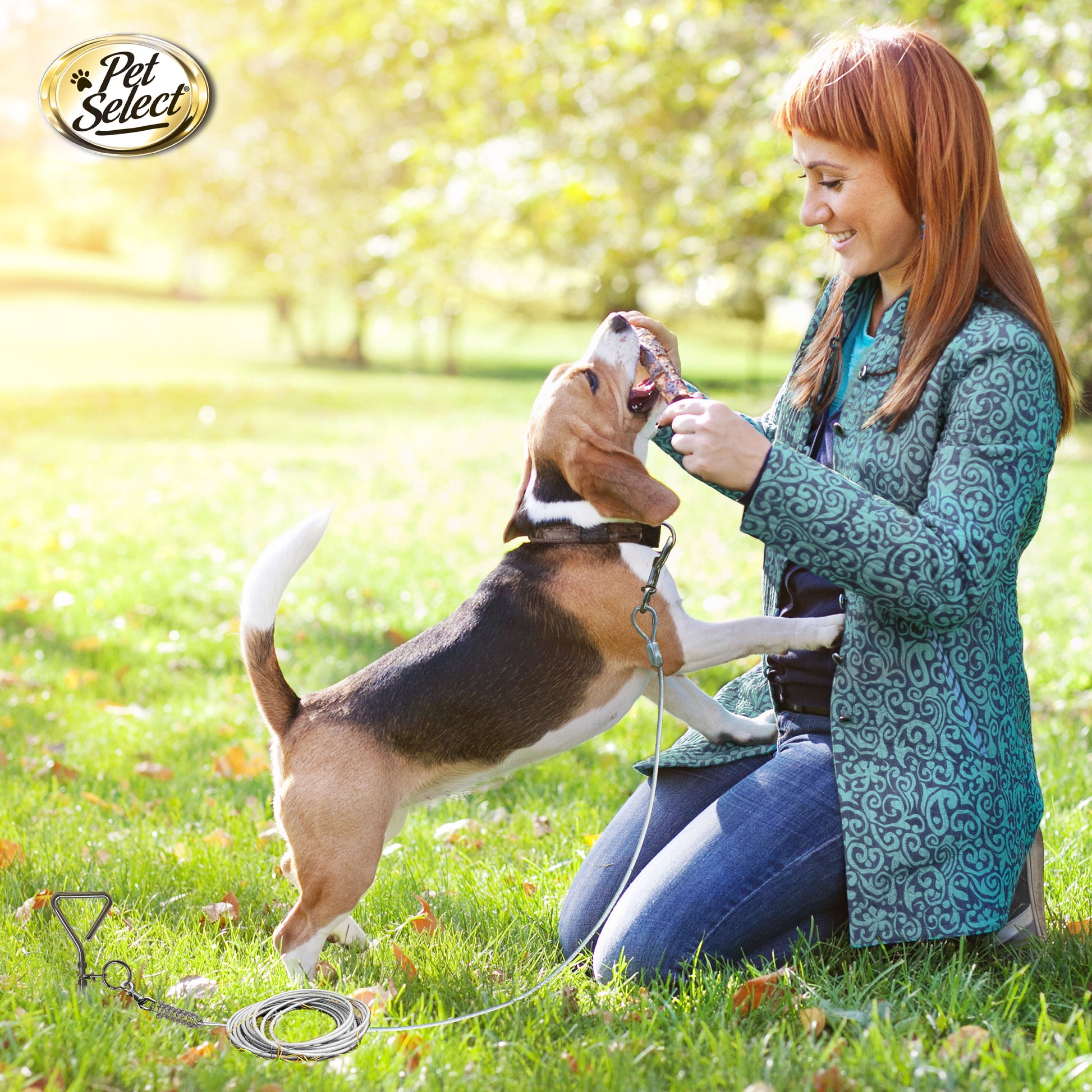 FourPaws_Four_Paws_Pet_Select_Vinyl_Coated_Steel_Cable_Dog_Tie_Out_Lifestyle