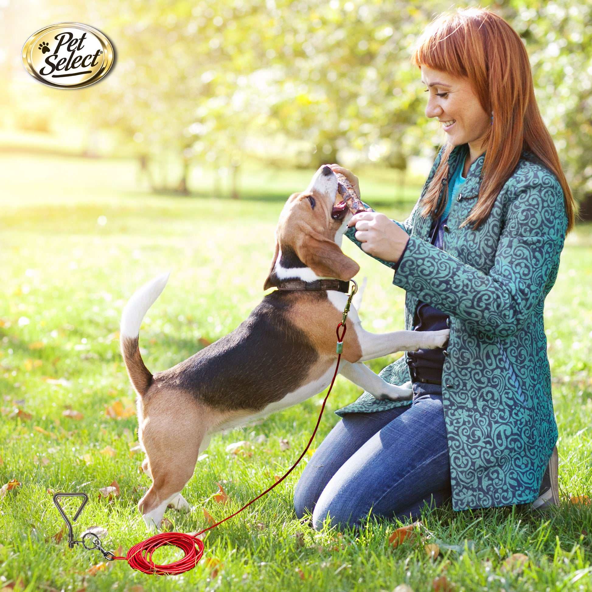 Four Paws 100203951 Pet Select Walk About - Estaca en espiral para atar perros (48 cm). Paquete principal: 6 unidades. Fabricado en: China/Camboya. 
