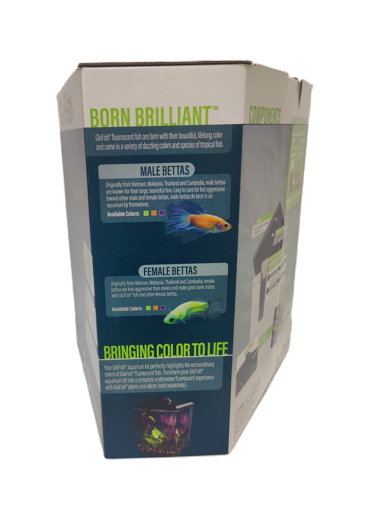Glofish 2.5 Gallon Aquarium Kit L2