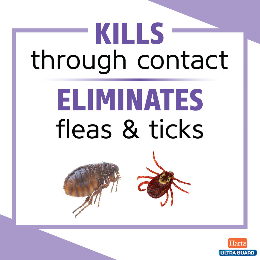 HUG_Plus_eliminates_fleas_and_ticks_1