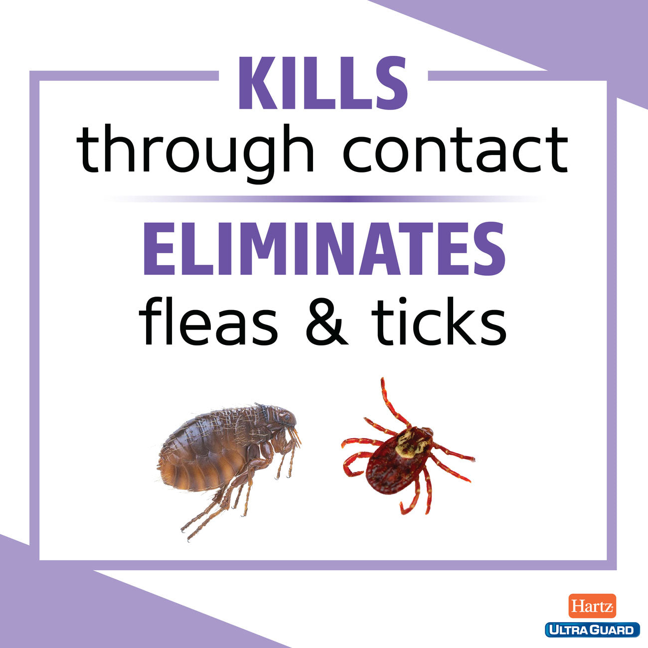 HUG_Plus_eliminates_fleas_and_ticks_1