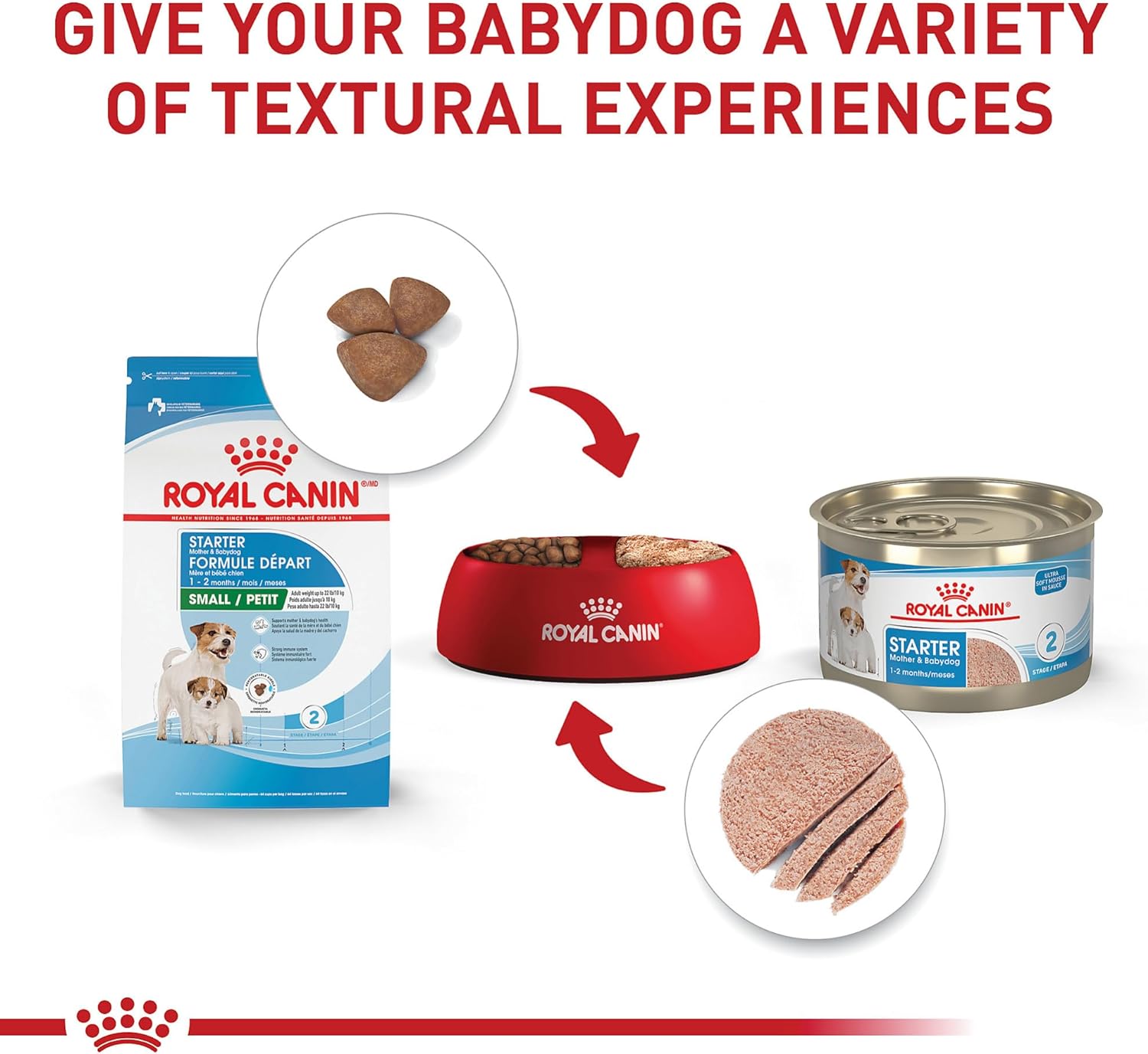Royal Canin Alimento de iniciación seco para la madre y sus bebés c