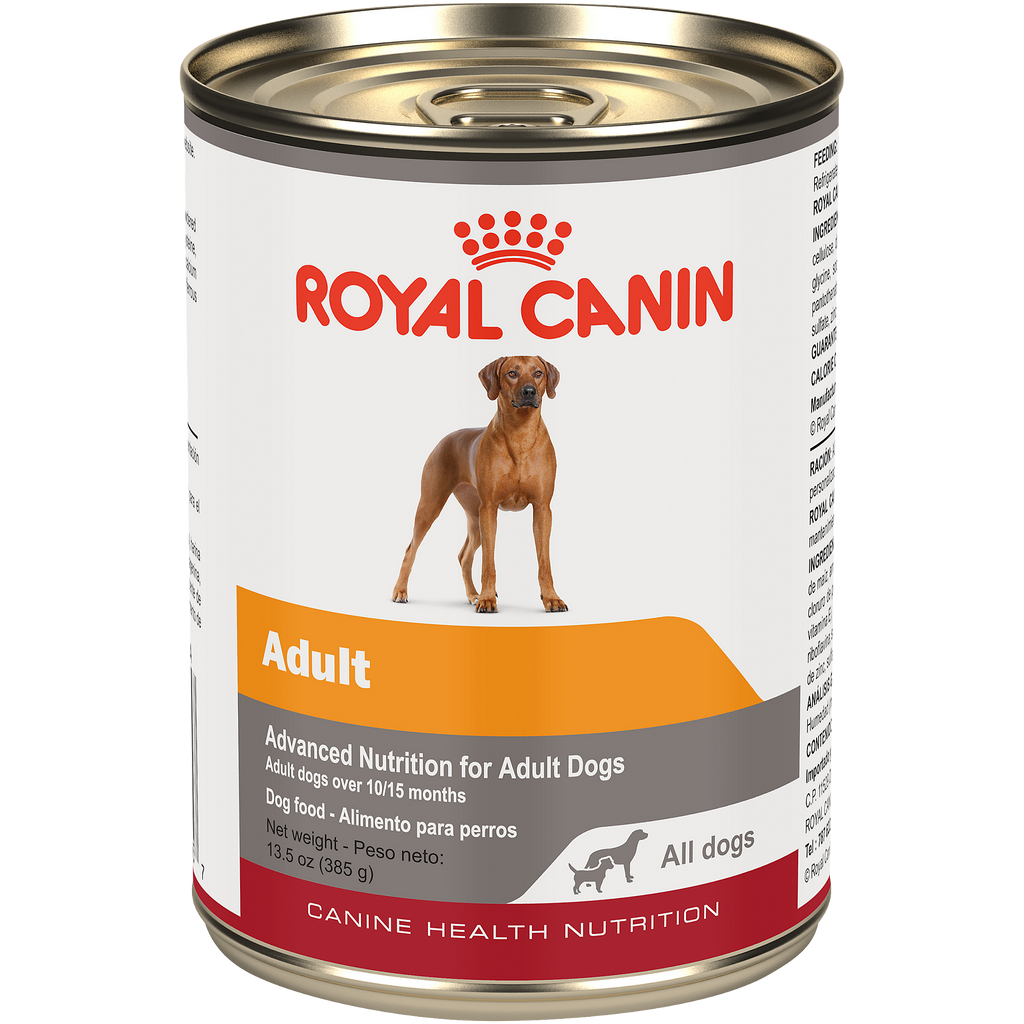 Royal Canin  Alimento enlatado para perro adulto  en Gel  Front