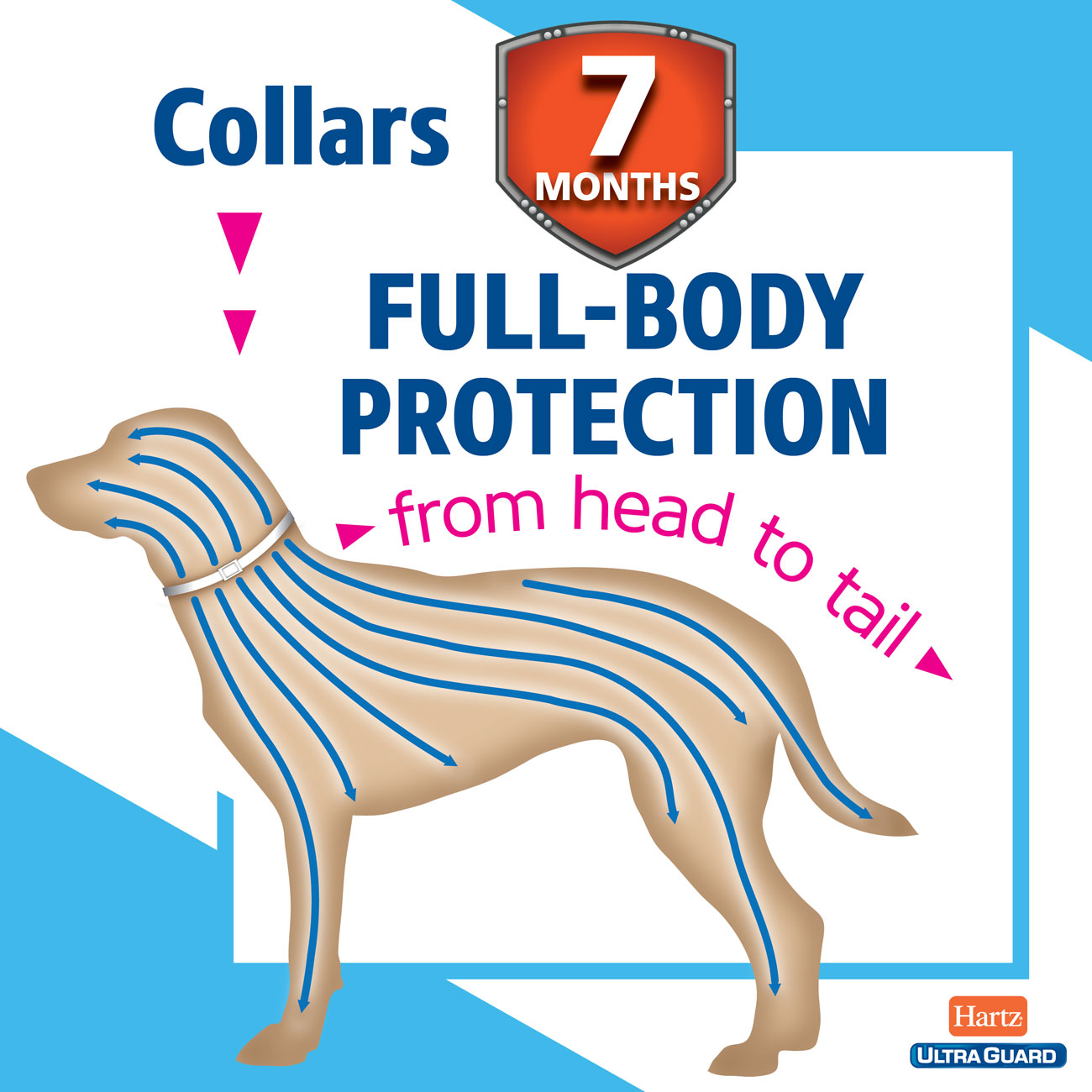 Hartz-UltraGuard-Plus-Flea-Tick-Collar-for-Dogs-from head to tail